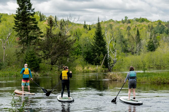 Rollerski Adventures - Common questions