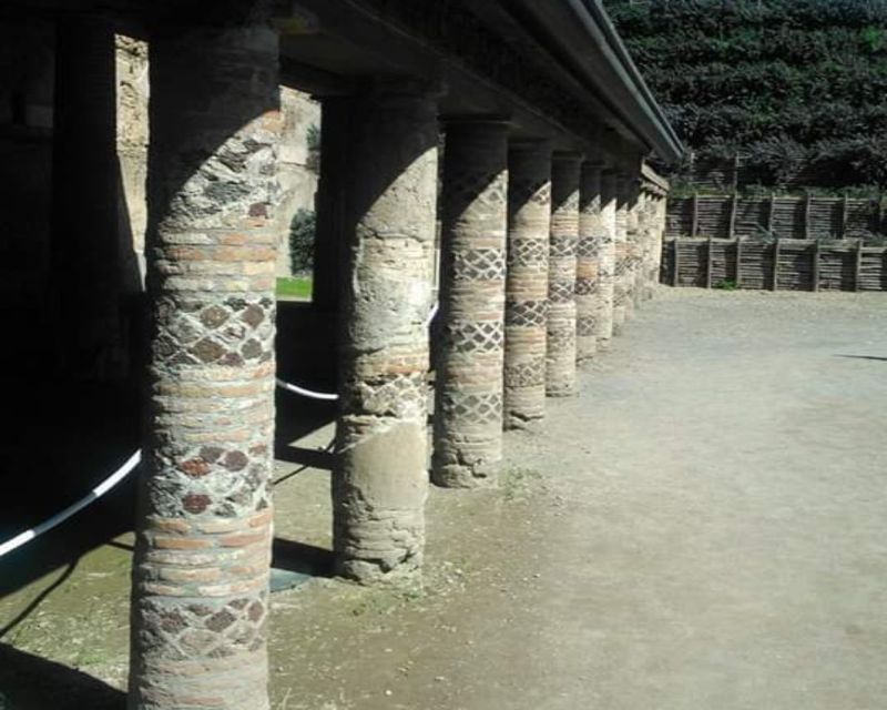 Rome: Private Guided Pompeii Ruins Tour With Hotel Transfer - Inclusions