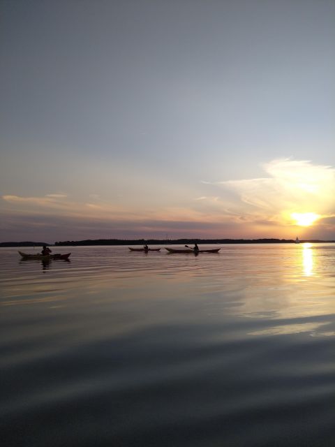 Roskilde: Guided Kayaking on Roskilde Fjord: Sunset Tour - Full Description of Experience