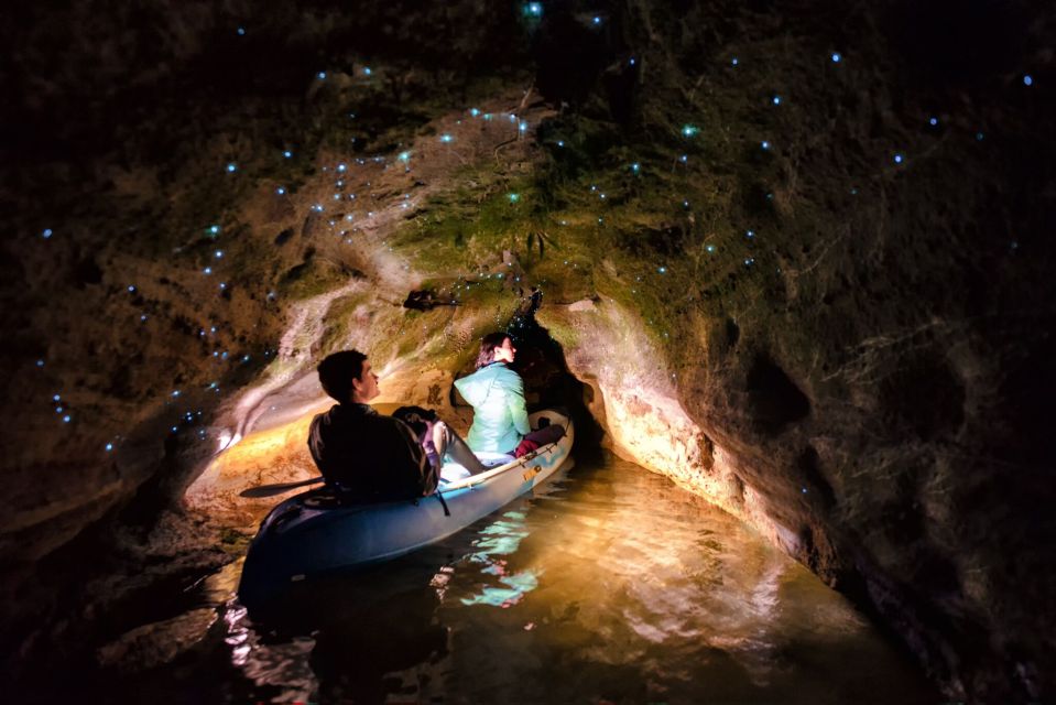 Rotorua: Evening Glow Worm Guided Kayaking Tour - Detailed Description