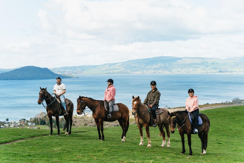 Rotorua: Guided Horseback Riding Day Trip on Mt. Ngongotaha - Participant Information
