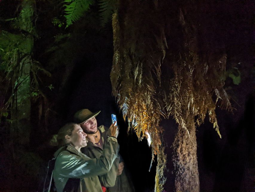 Rotorua: Nocturnal Glow Worm Tour With a Guide - Tour Description