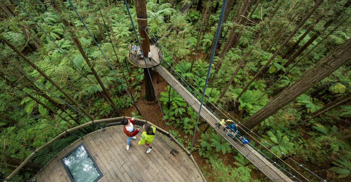 Rotorua: Redwoods Altitude & Day/Night Treewalk Combo - Important Information