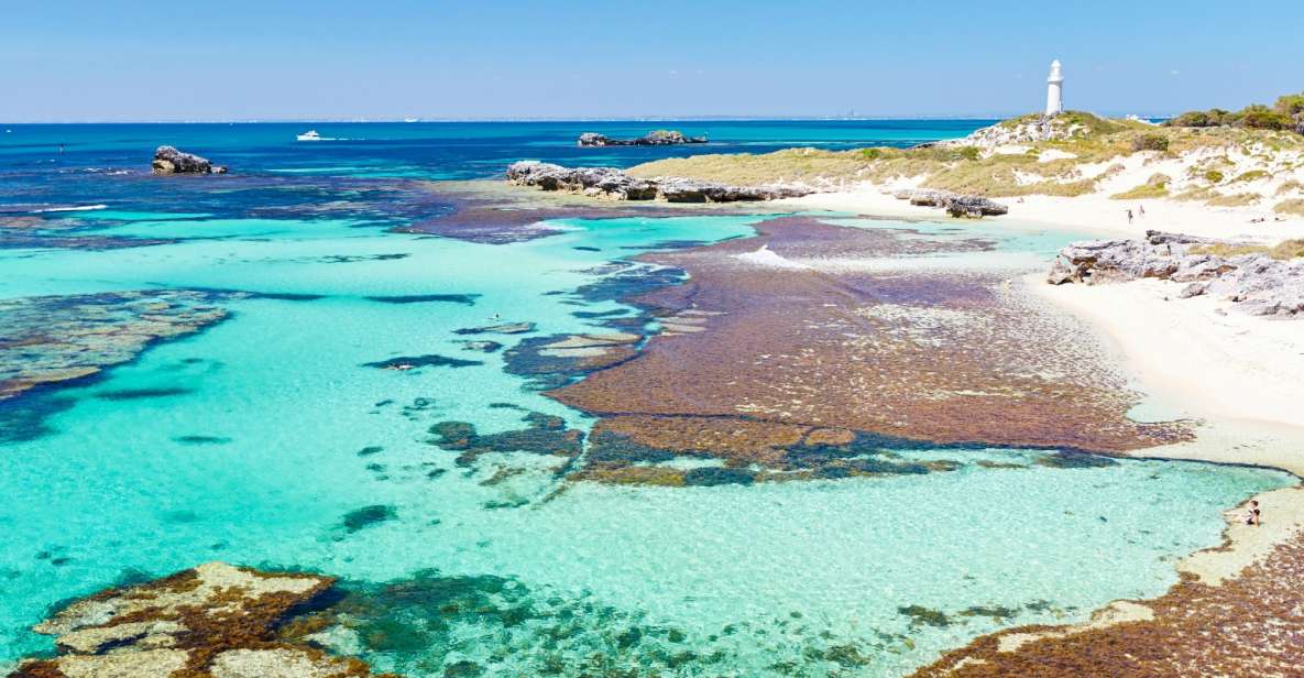 Rottnest Grand Island Package With Ferry, Tour & Light Lunch - Customer Reviews and Ratings