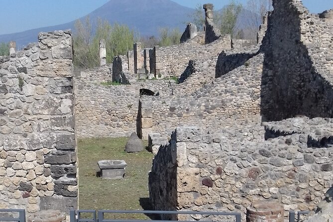 Round Trip From Naples Area- 2hrs Stop in Pompeii and 2hrs Winery - Customer Reviews