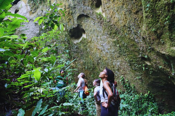 Route of the Dreams Full-day Trekking Jungle Tour in Tena - Local Culture Immersion