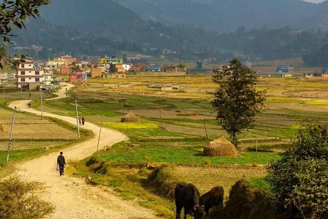 Sacred Footsteps: The Namobuddha-Panauti Day Hike Experience - Engaging in Local Traditions