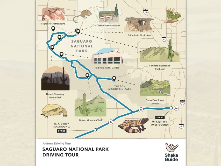 Saguaro National Park: Self-Guided GPS Audio Tour - Activity Highlights