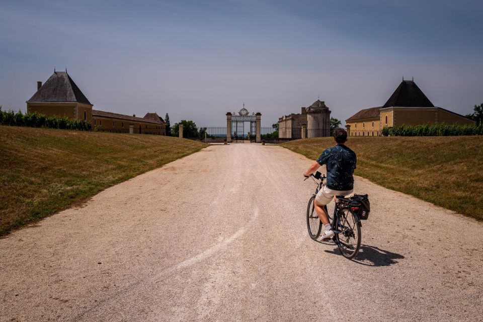 Saint Emilion Half Day Ebike and Wine Tour With Picnic - Activity Description