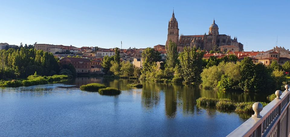 Salamanca: Private Sightseeing & Cultural Walking Tour - Tour Description