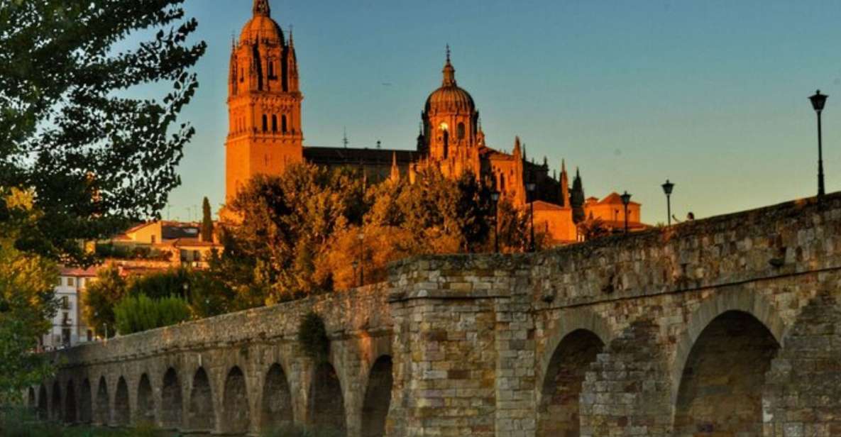 Salamanca: Private Walking Tour With a Local Guide - Highlights of the Tour