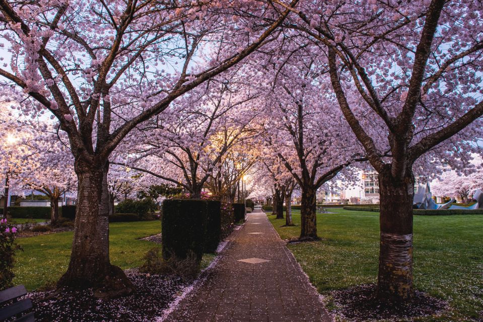 Salem: Witch Trial Walking Tour - Inclusions