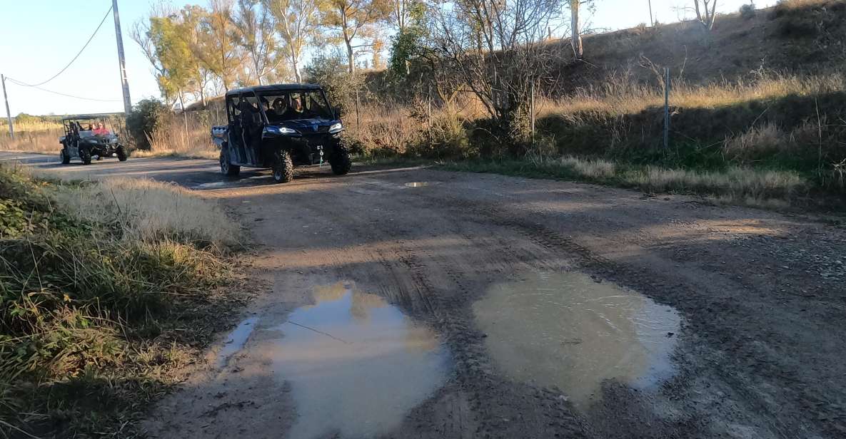 Salou: Buggy Safari With Hotel Transfer - Pickup Inclusions