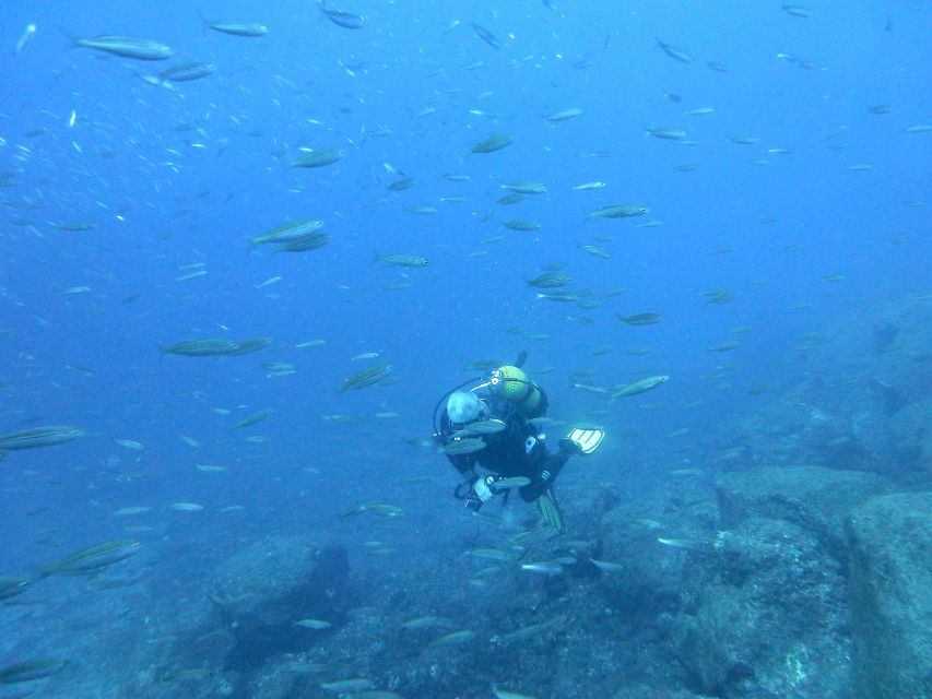 San Miguel De Abona: 2–Dive Package - Detailed Description