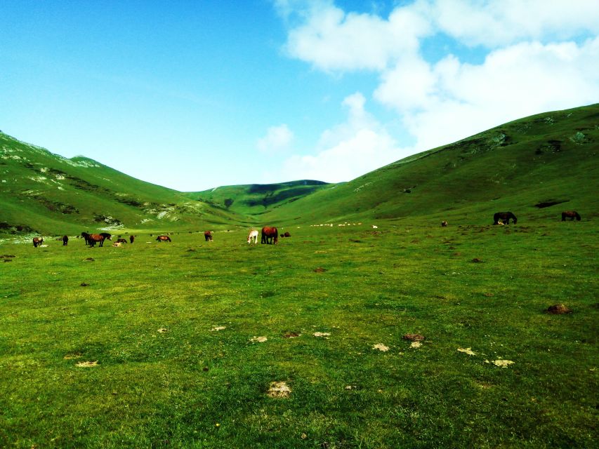 San Sebastián: Hike the Heart of the Basque Country - Optional Peak Ascent