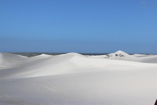 Sandboarding and Quad Biking Combo From Cape Town - Activity Details