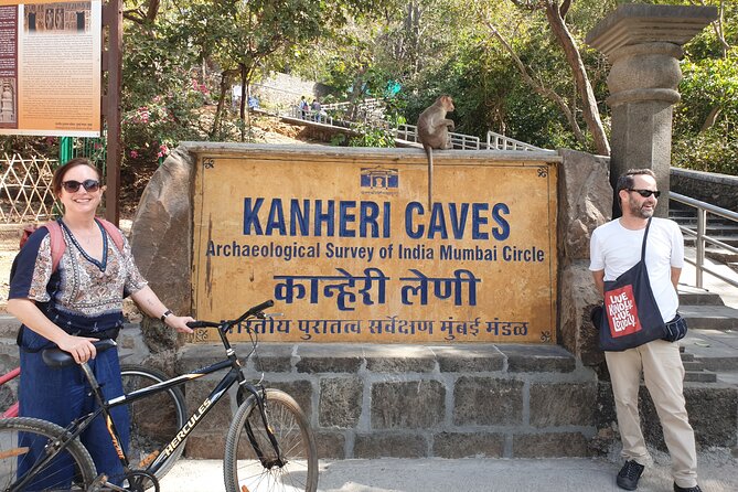 Sanjay Gandhi National Park(SGNP) Kenheri Caves Lion Safari Jain Temple - Lion Safari Experience