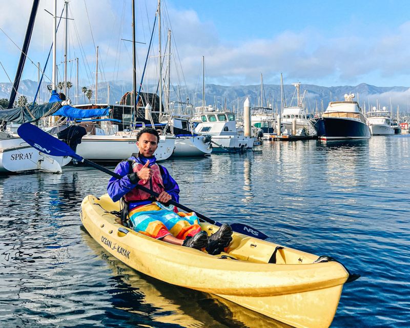 Santa Barbara: Guided Kayak Tour - Activity Highlights