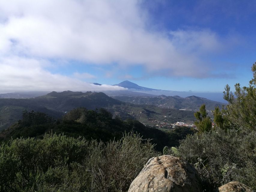 Santa Cruz De Tenerife: 2-Hour Hiking Tour in Anaga Forest - Activity Details