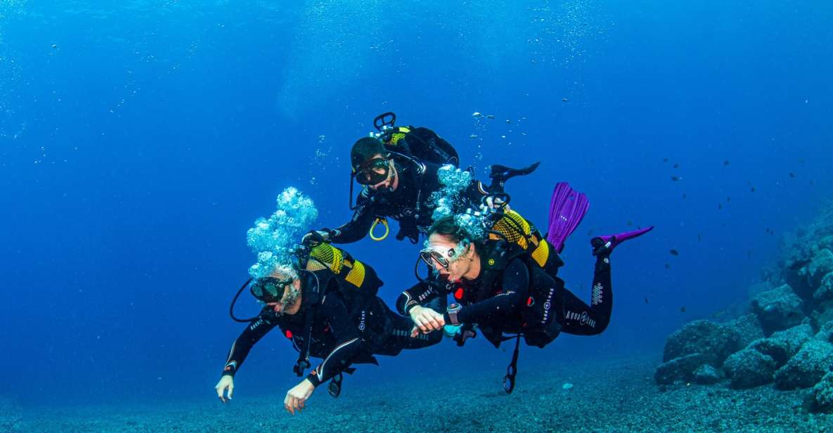 Santa Cruz De Tenerife: Introductory Diving Course & 2 Dives - Booking Details