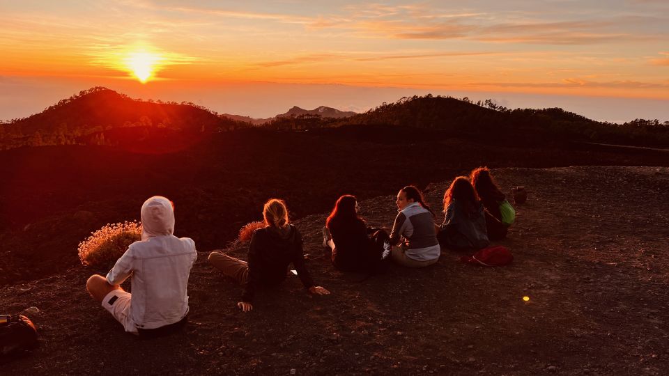 Santa Cruz De Tenerife: Private Teide National Park Tour - Tour Description