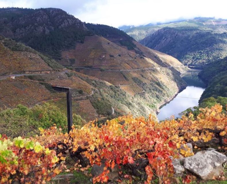 Santiago De Compostela: Private Excursion of Galician Fjords - Experience Highlights