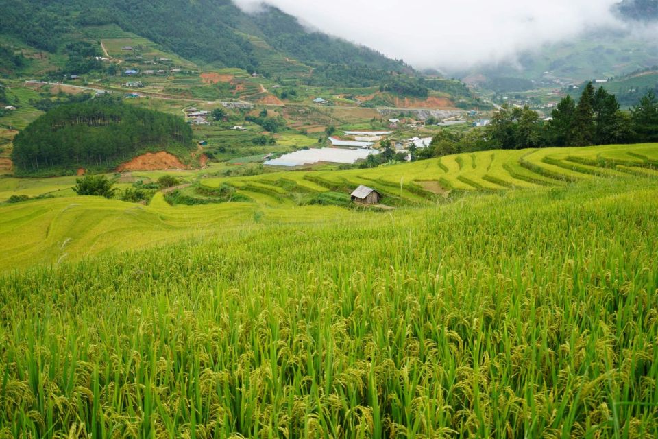 Sapa Full Day Trip to Ta Phin - Cat Cat Village With Lunch - Booking Details and Flexibility