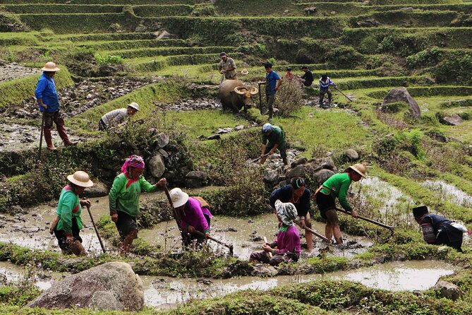 Sapa Hmong Family Trekking Adventures - Safety Guidelines and Precautions