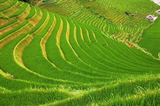 Sapa Most Beautiful Day Tour (Y Linh Ho - Lao Chai - Ta Van) - Tour Experience Highlights