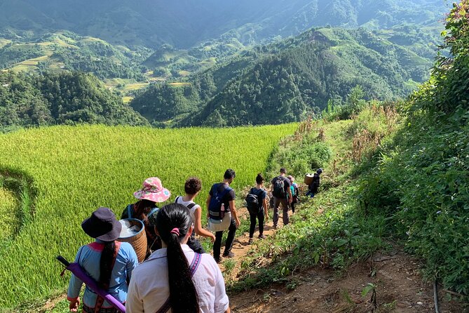 Sapa Trekking Tour 2 Days 1 Night By Bus - Pricing and Booking Details