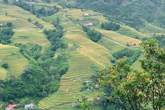 Sapa Trekking Trail 1 Day - Mountain & Terraced Rice Valley View - Reviews and Ratings Overview