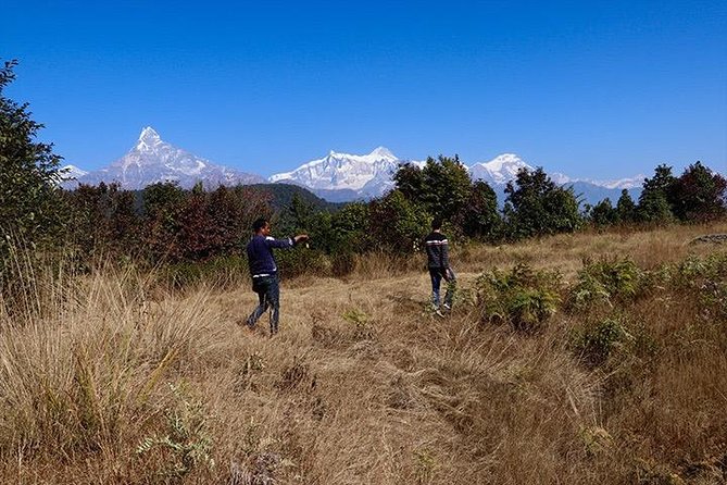 Sarangkot Sunrise View and City Tour in Pokhara Nepal - Transportation Options