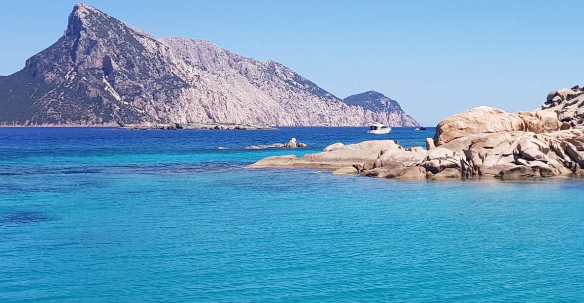 Sardegna, North West, Discovering Land and Sea - Culinary Delights of Sardegna