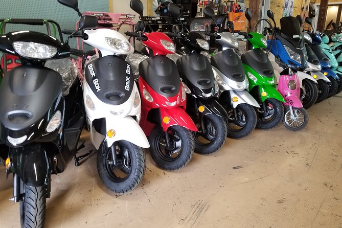 Savannah Scooter and Trike Rental With Helmet - What To Expect and Accessibility