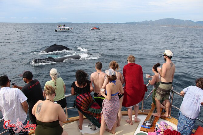 Sayulita Half Day Private All Inclusive Yacht Cruise  - Pacific Coast - Notable Guest Feedback
