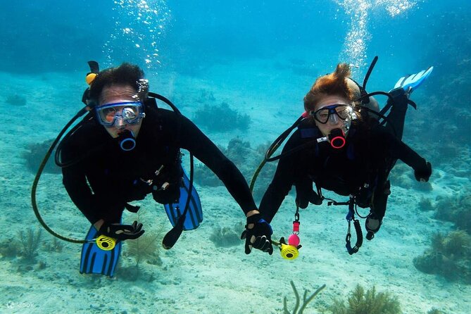 Scuba Diving Activity in Dubai With Hotel Pickup - Reviews and Ratings Summary
