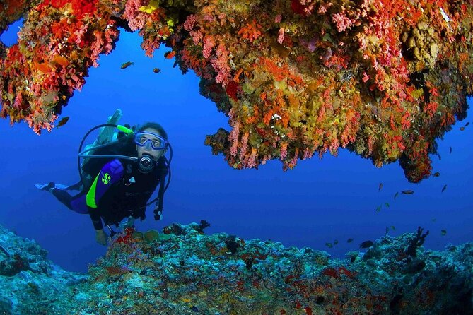 Scuba Diving at Jumeirah Dubai With Private Transfers - Customer Reviews and Ratings