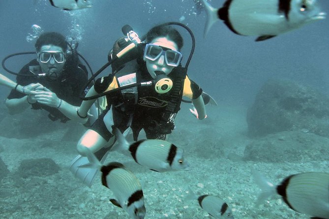 Scuba Diving From Antalya - Tour Expectations