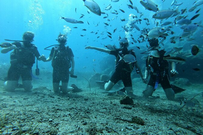 Scuba Diving in Fujairah With Private Transfers - Traveler Reviews Analysis