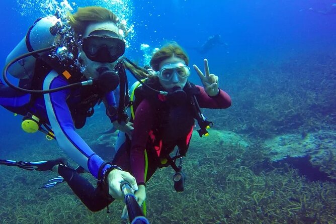 Scuba Diving Tour From Abu Dhabi to Dubai - What To Expect During the Tour