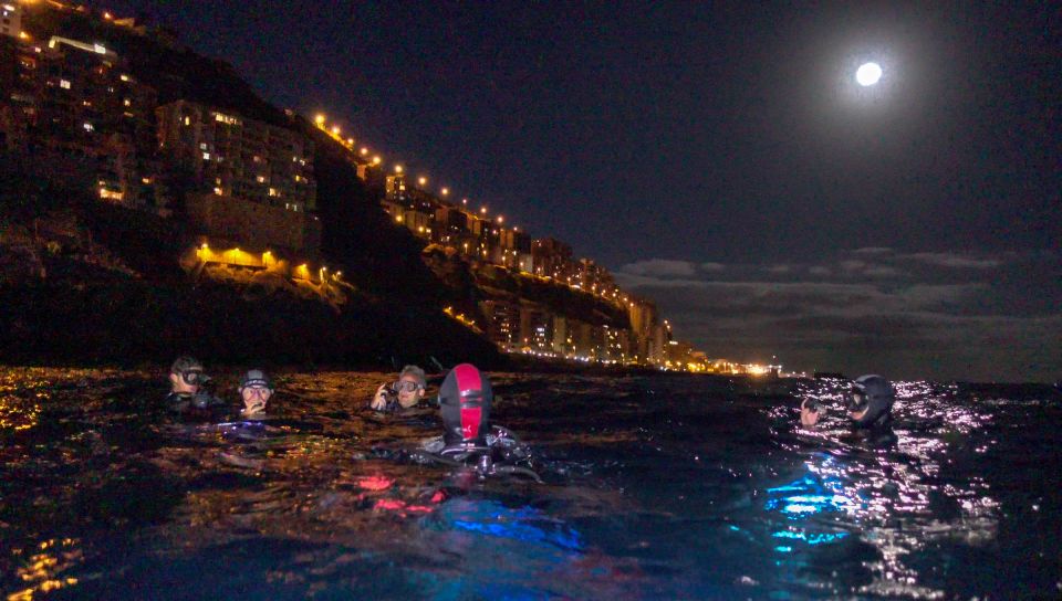 Scuba Night Dive on Tenerife - Tour Guide & Instructor