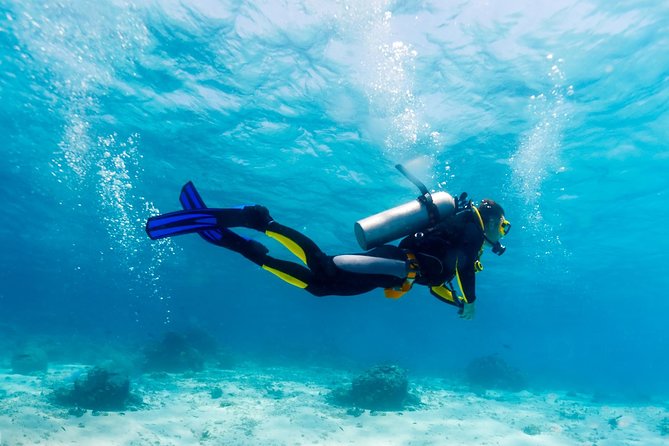 Scuba Referral Dives & Beach Club With Transportation in Riviera Maya - Bilingual Guide Availability