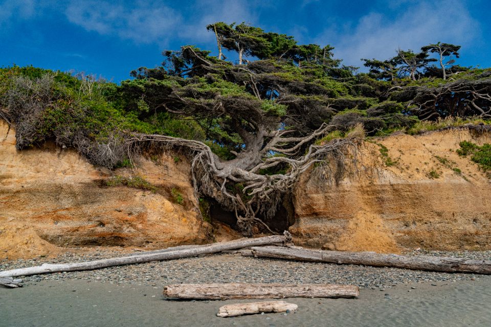 Seattle And Olympic NP Self-Guided Audio Bundle Tour - App Features