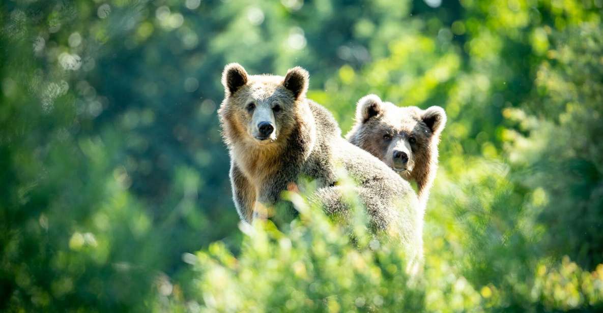 Seattle: Woodland Park Zoo Day Admission Ticket - Inclusions