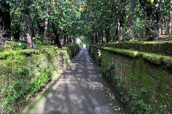 Secret Walks of Piano Di Sorrento - Local Wonders Revealed