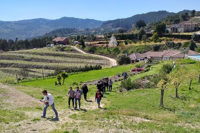 Selection Tasting Quinta De Santa Cristina Vinho Verde - Food Pairing Recommendations