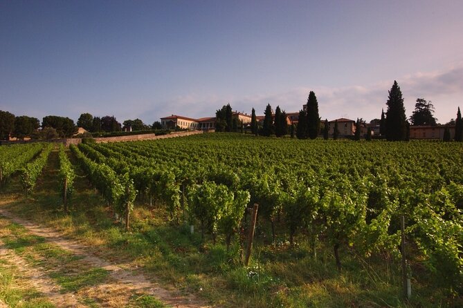 Self-Guided Wine Tour in Franciacorta, Full-Day Experience With Lunch - Wine Tasting Experience