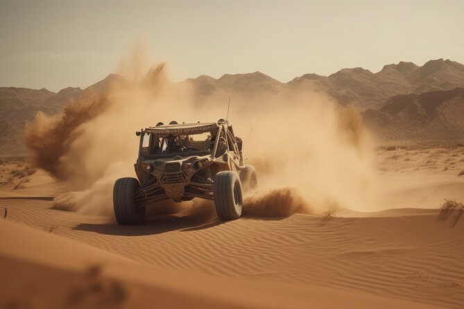 Self-Ride Polaris Desert Buggy Tour With Free Desert Safari - Customer Reviews