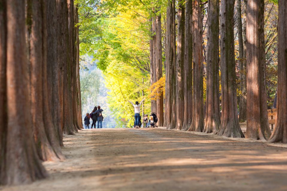 Seoul: Alpaca World & Nami Island (Optional Korean Garden) - Nami Island Exploration