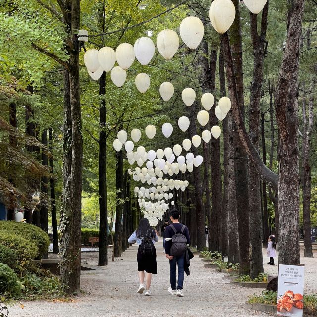 Seoul: Nami Island and Garden of Morning Calm Day Trip - Inclusions
